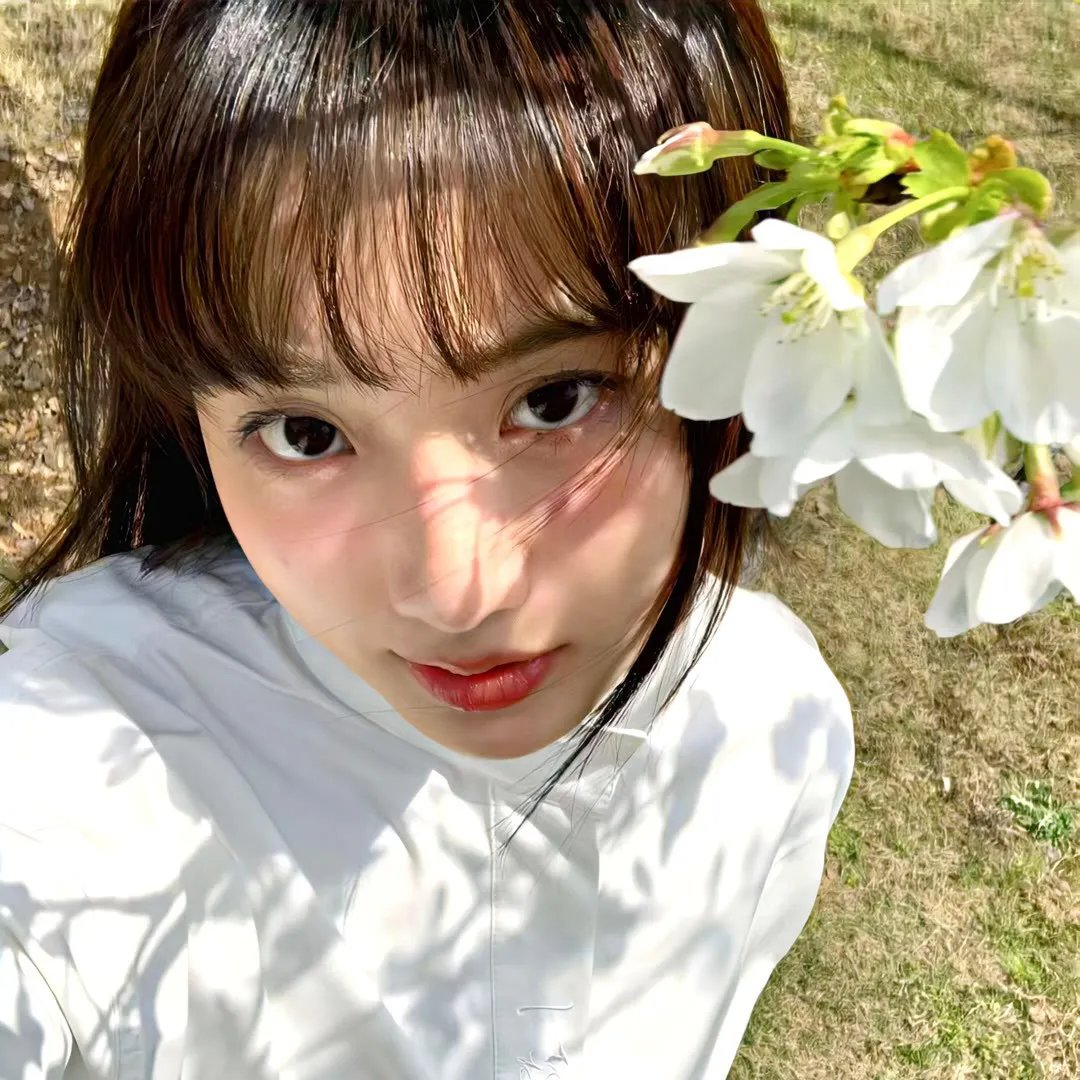 细胞分裂：死亡监视第一季